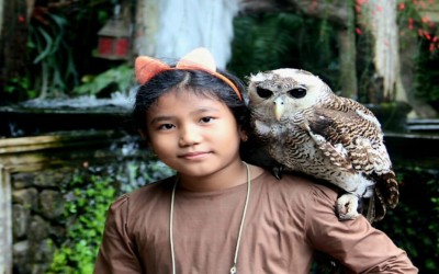 Surat Tua Untuk Ibu Nirmala