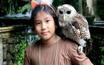 Kancing Ajaib Dan Pelajaran Kejujuran